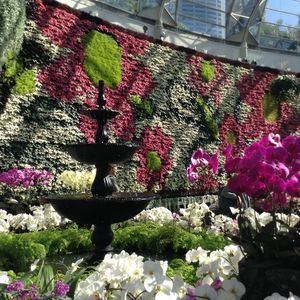 Meet your Posher, Henaa